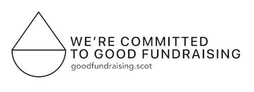 Good Fundraising Promise logo