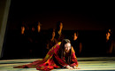 Madama_Butterfly_Carousel_Image2.jpg