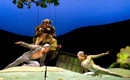 Cunning_Little_Vixen_Carousel_14.jpg
