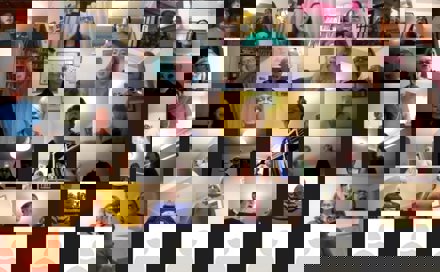 cc zoom.jpg