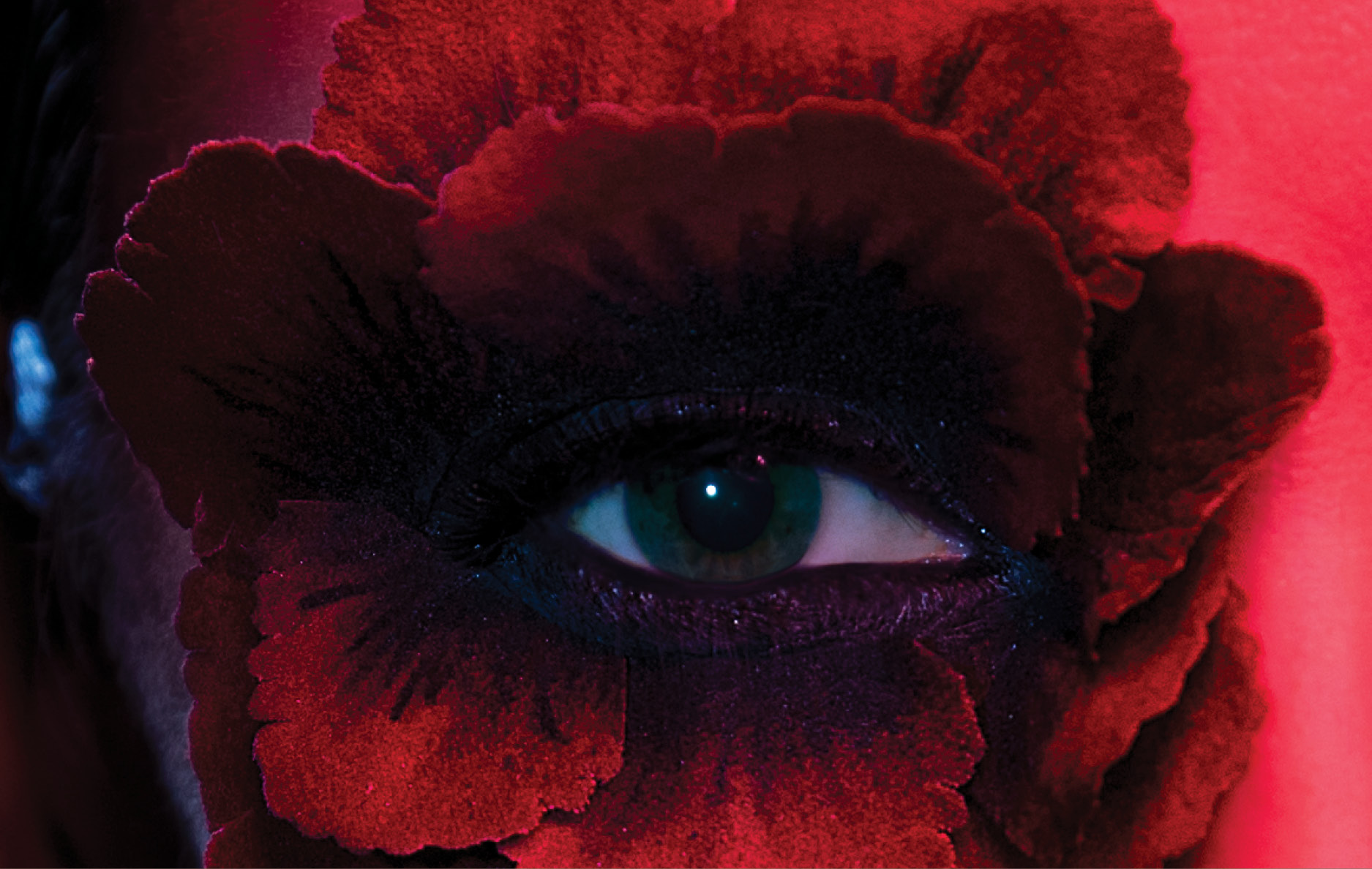 Close-up of a blue eye surrounded by dark red petals and glittery eye makeup