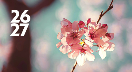 Save The Date 2026 Scottish Opera Website Images 430 X 236Px